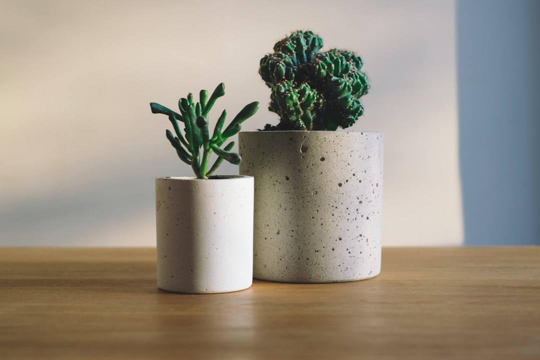 並べられた陶器製の植木鉢