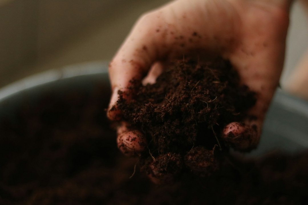 植物用のプレミアム培養土の袋