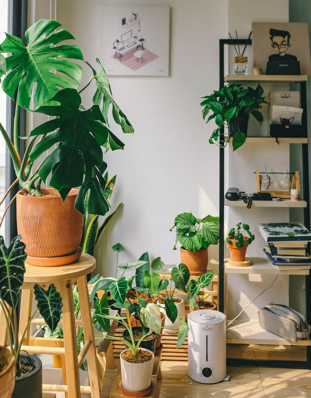じょうろで室内の鉢植えに水をやるMorning Cypressのスタッフ